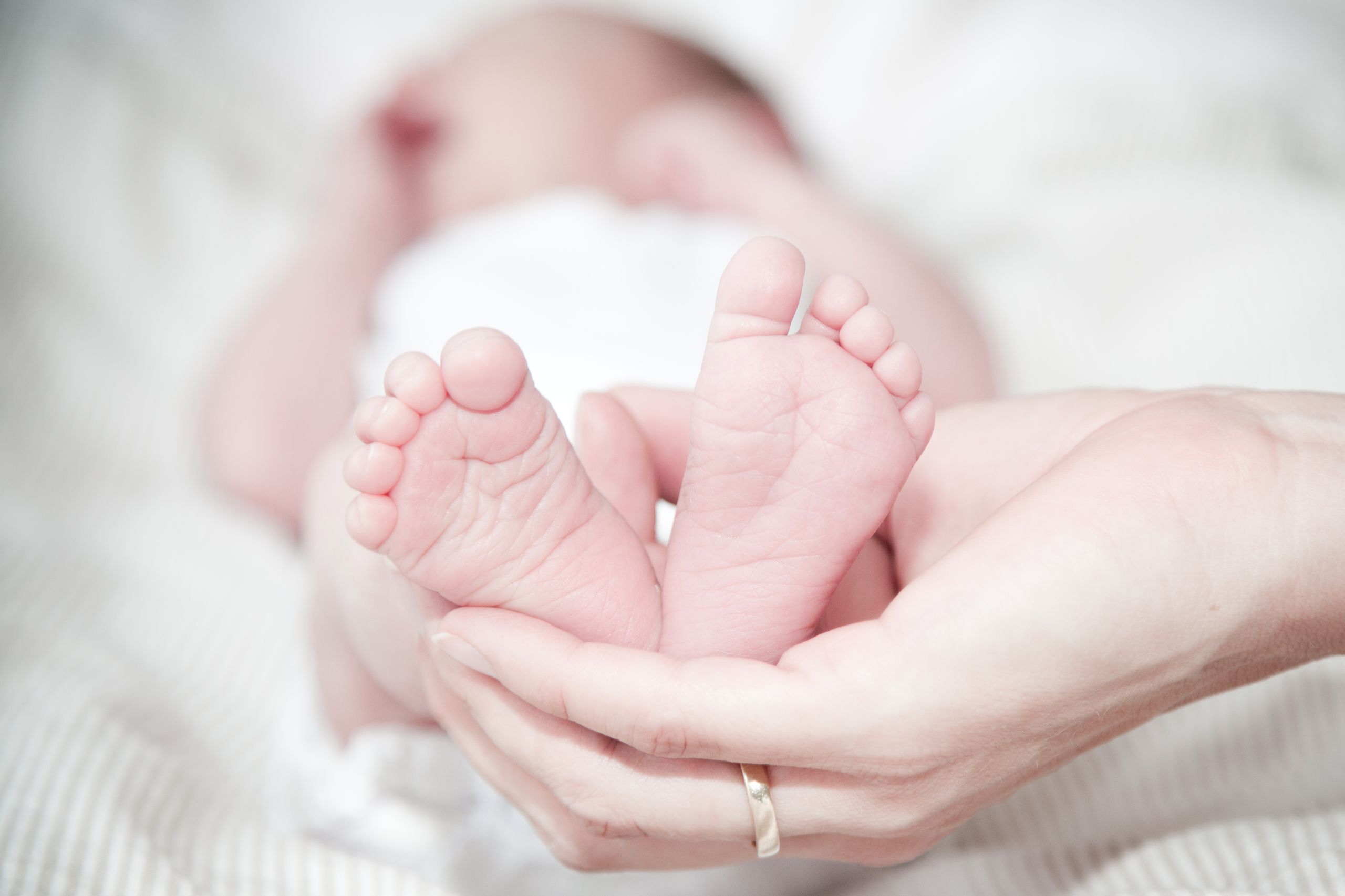 Newborn baby's feet held in a parent's hands