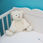 Teddy-bear-in-cot
